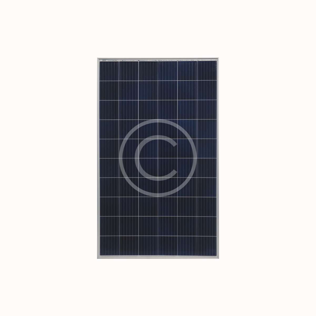 Longi Solar - Image 3